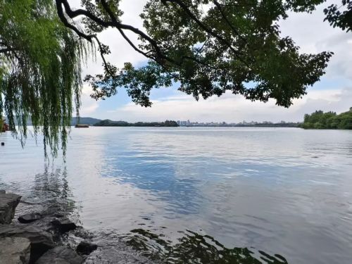 杭州连网红也没钱了开元ky棋牌逃离(图12)