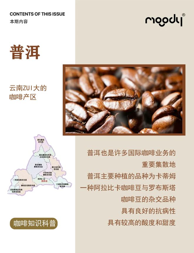 彩云之南的馥郁传奇开元棋牌云南咖啡：(图6)
